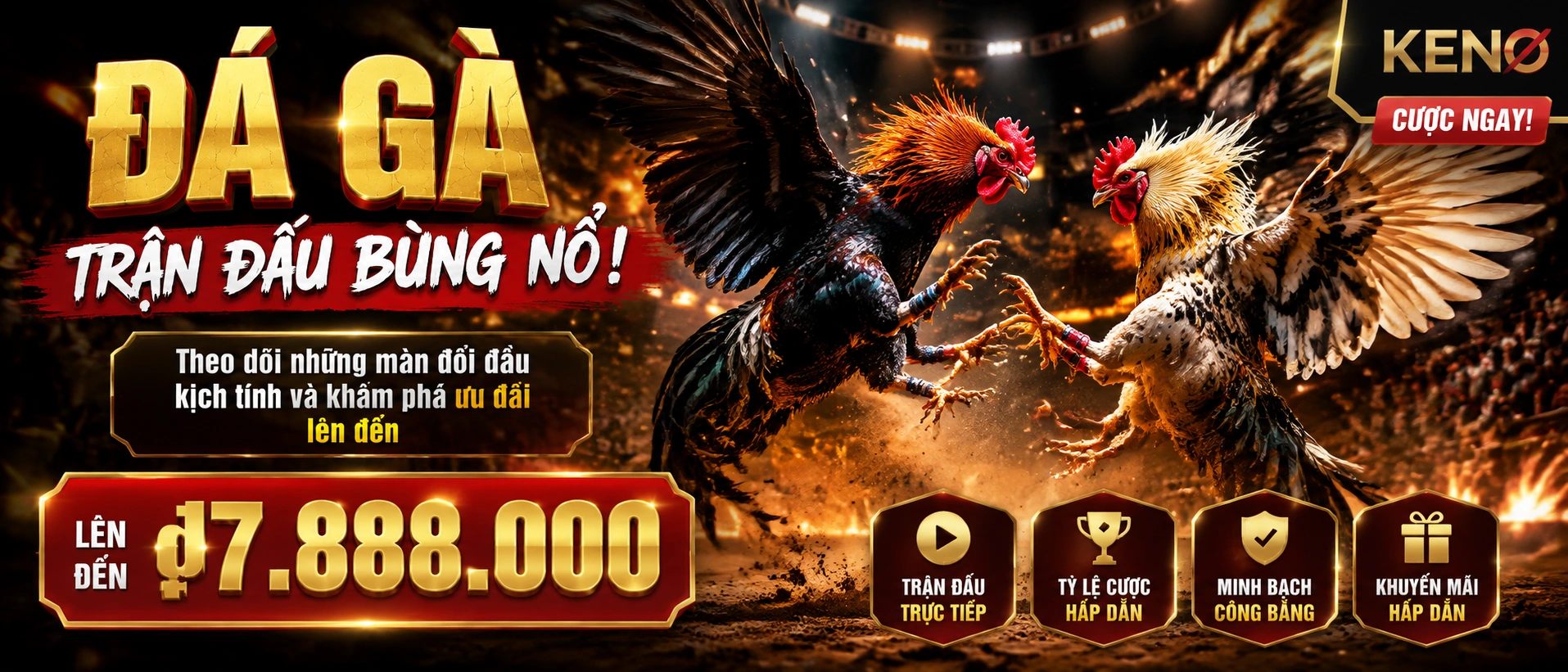 Đá Gà live tại Keno.com.vc